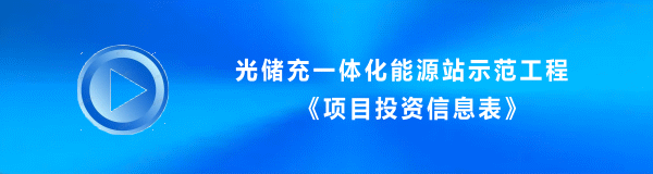 项目投资信息表